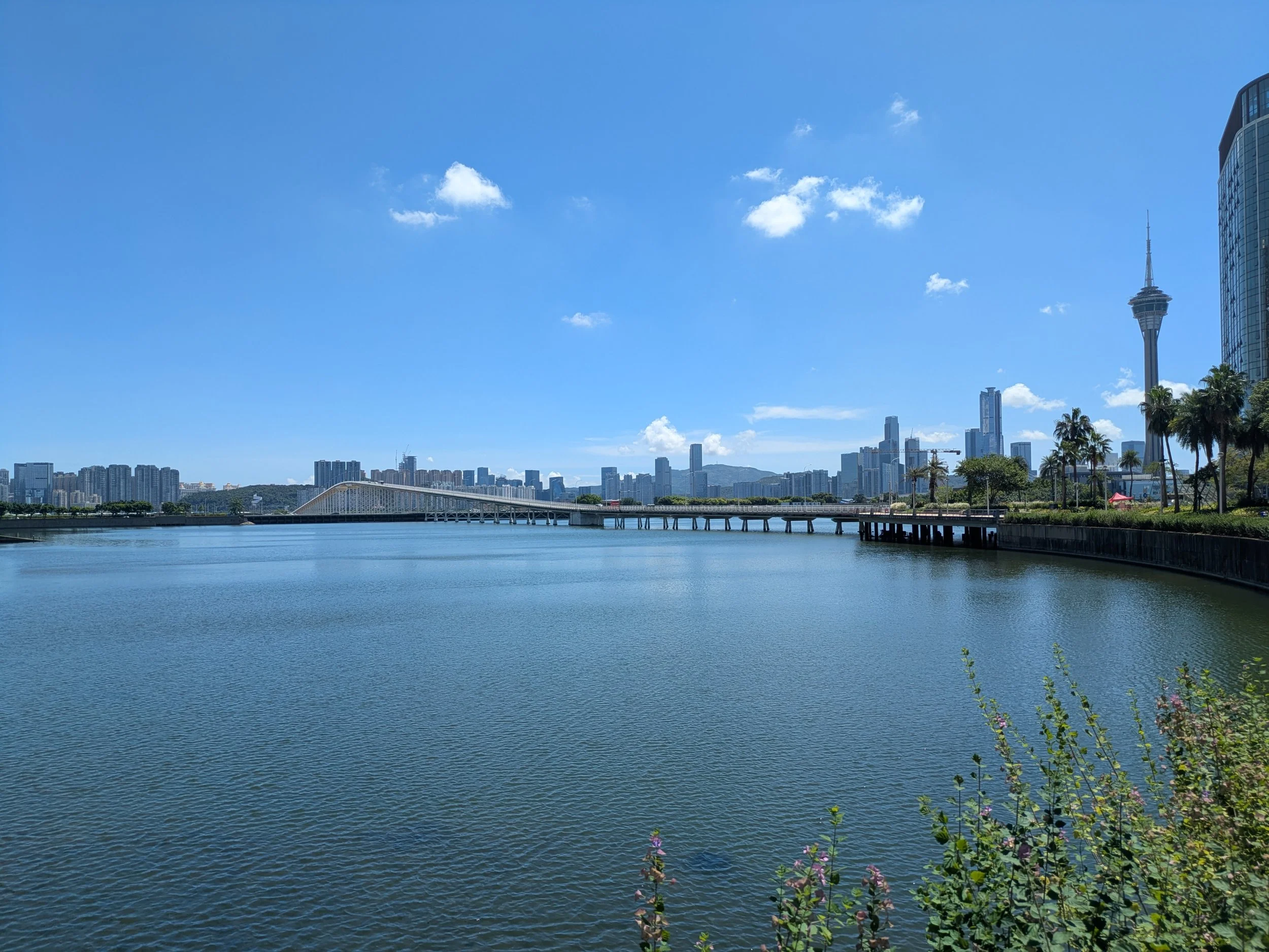 PXL_20250904_054240482.jpg