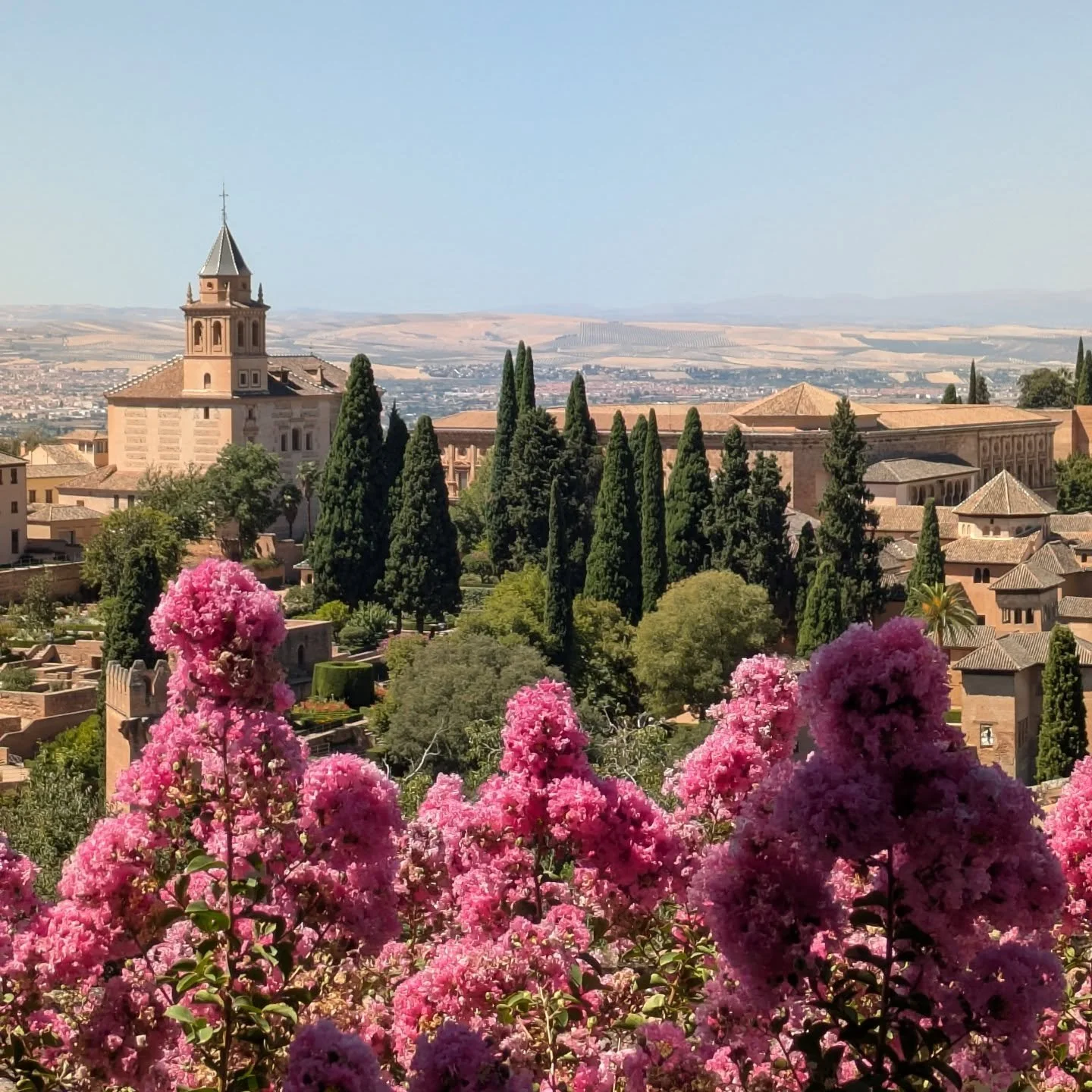 Perfecto 🇪🇸🌞🌺⛰️

#blackrocktraveller