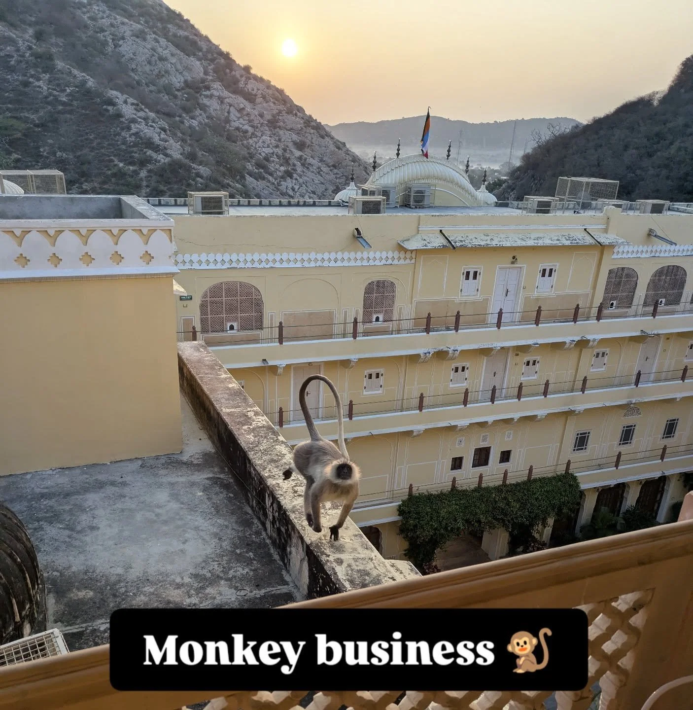 The view from my balcony this morning @samode_hotels 

📷 Hugh #blackrocktraveller