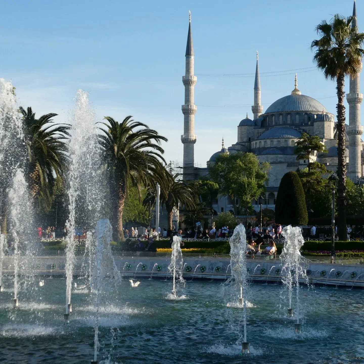 Istanbul, what a city! 🇹🇷 
Loving the murderous intrigue at the harem, the madness of the Grand Bazaar, the many (amazing) mosques, the gorgeous people...and all the food 🍷🍢🥙🕌 It's been an unforgettable start to the next few weeks in Turkiye 

