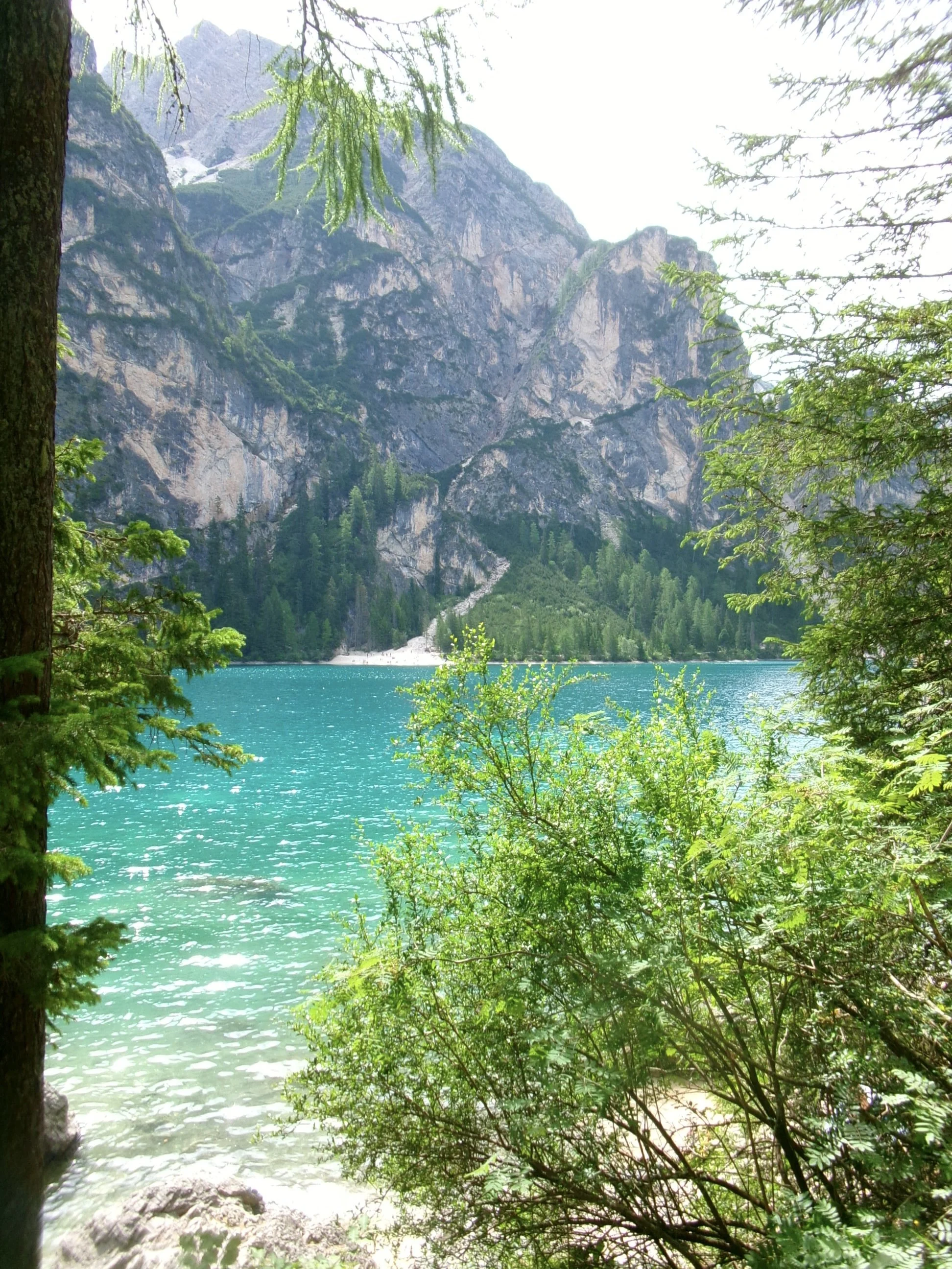 IMG_0260.JPG