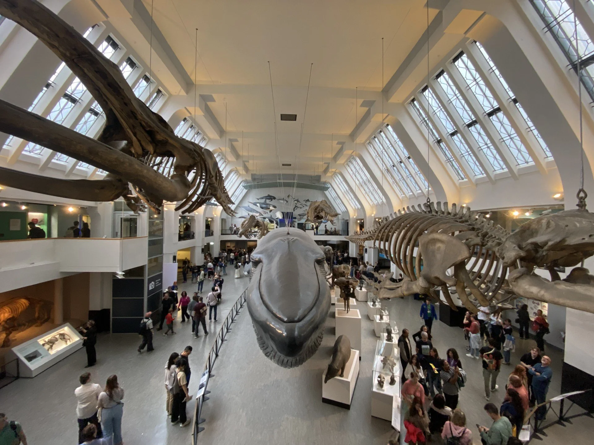 Natural History Museum 2.jpg