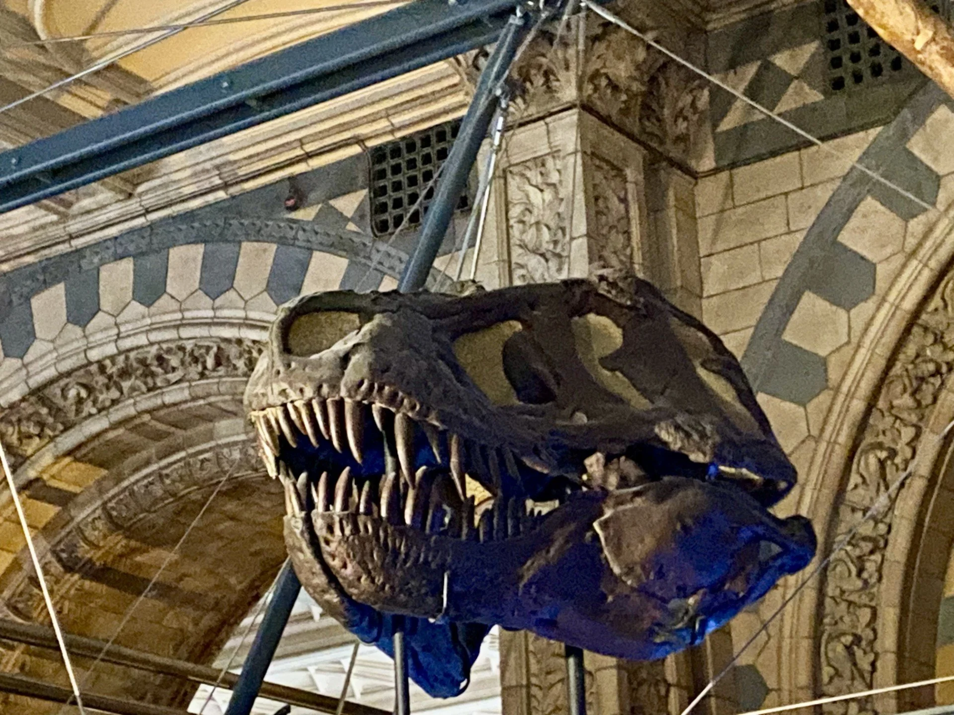 Natural History Museum 3.jpg