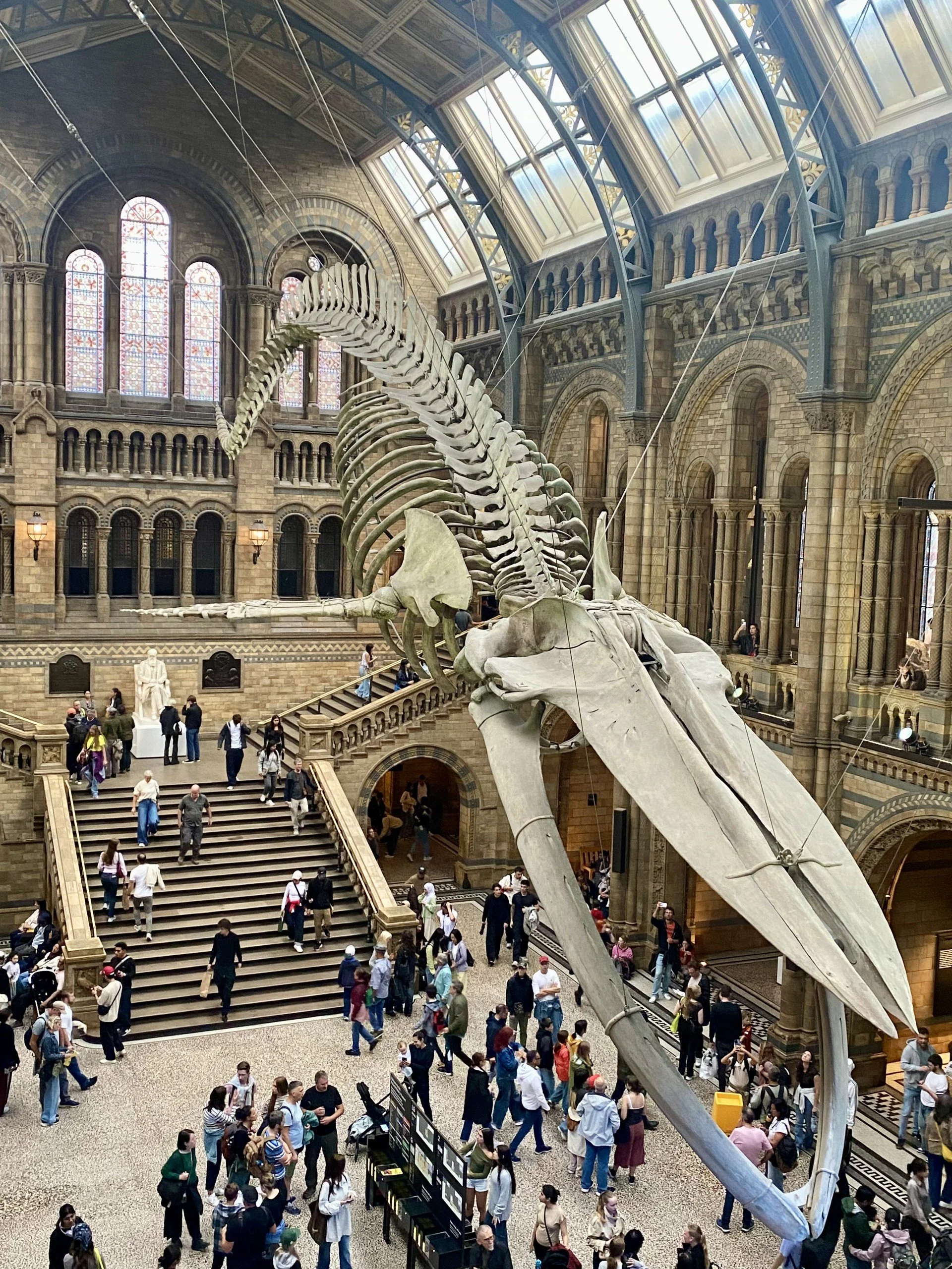 Natural History Museum 5.jpg