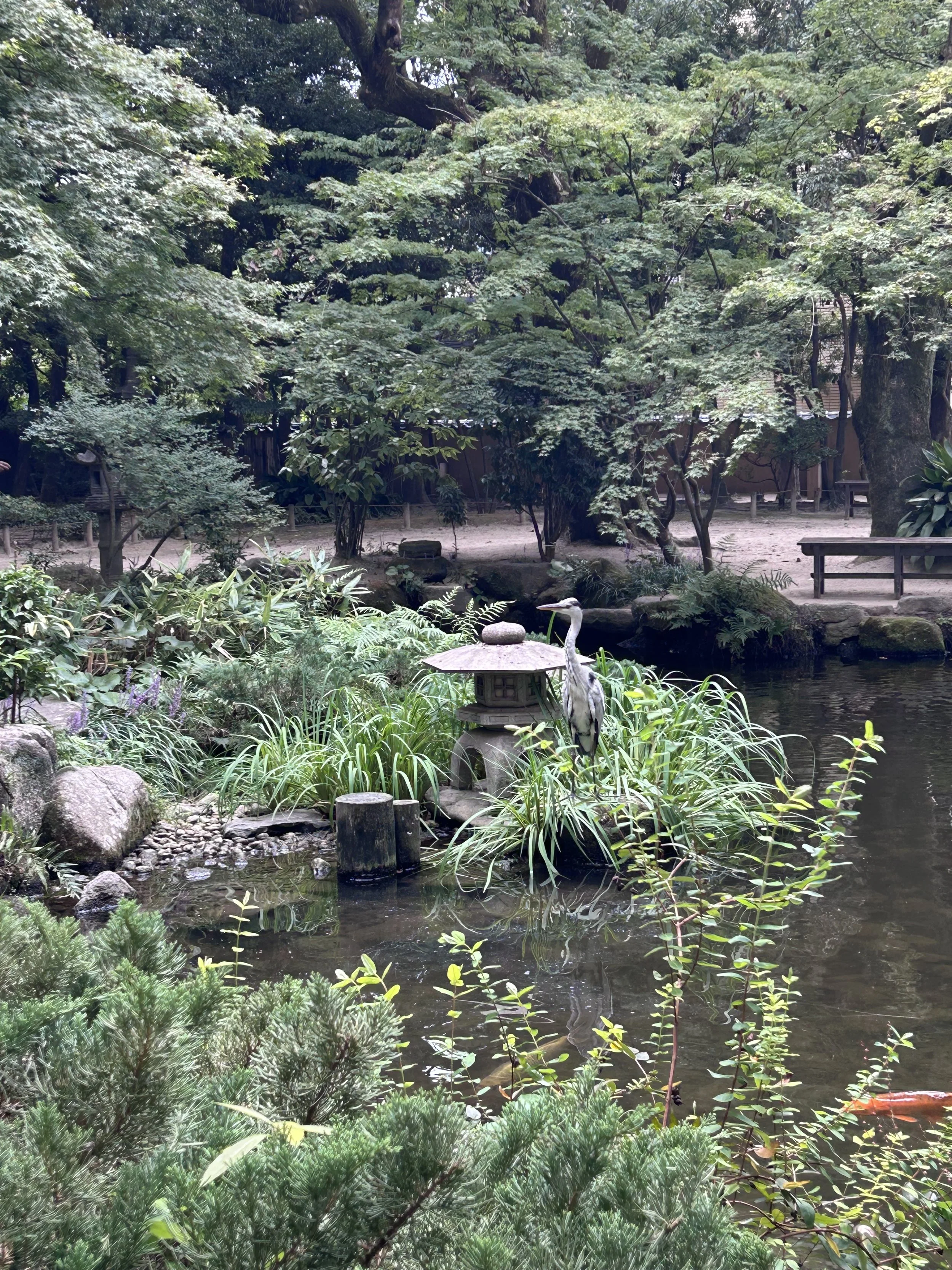 IMG_5193.jpeg