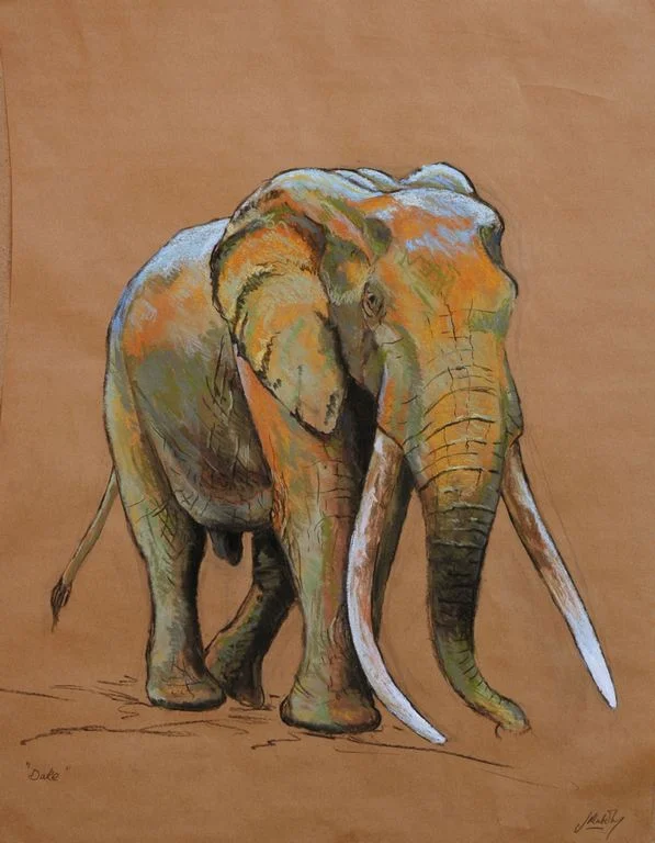 'Duke'