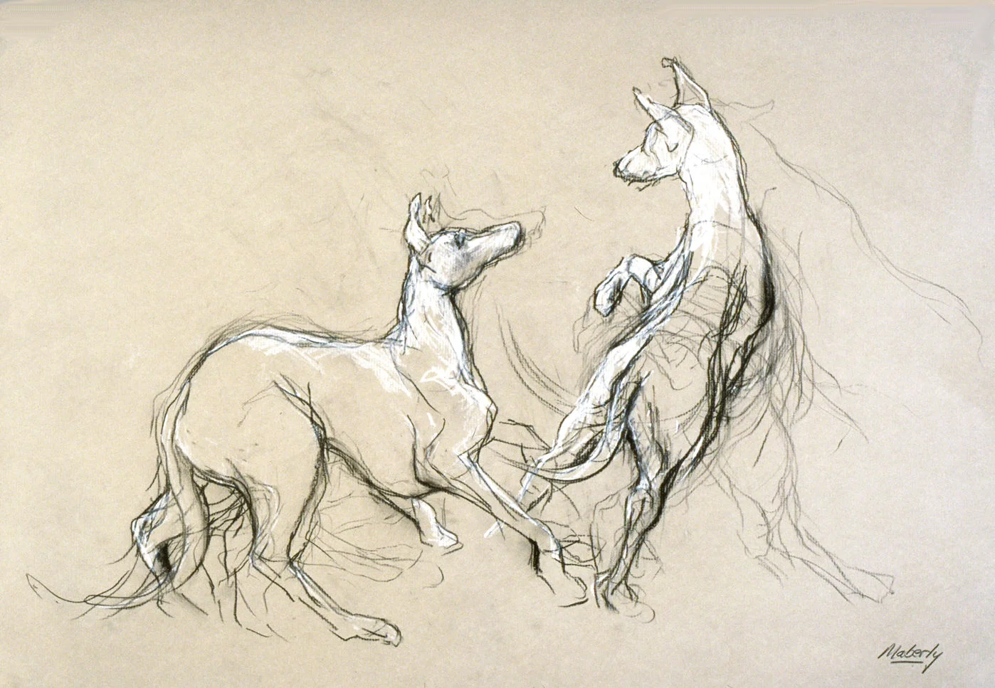 Playing whippets