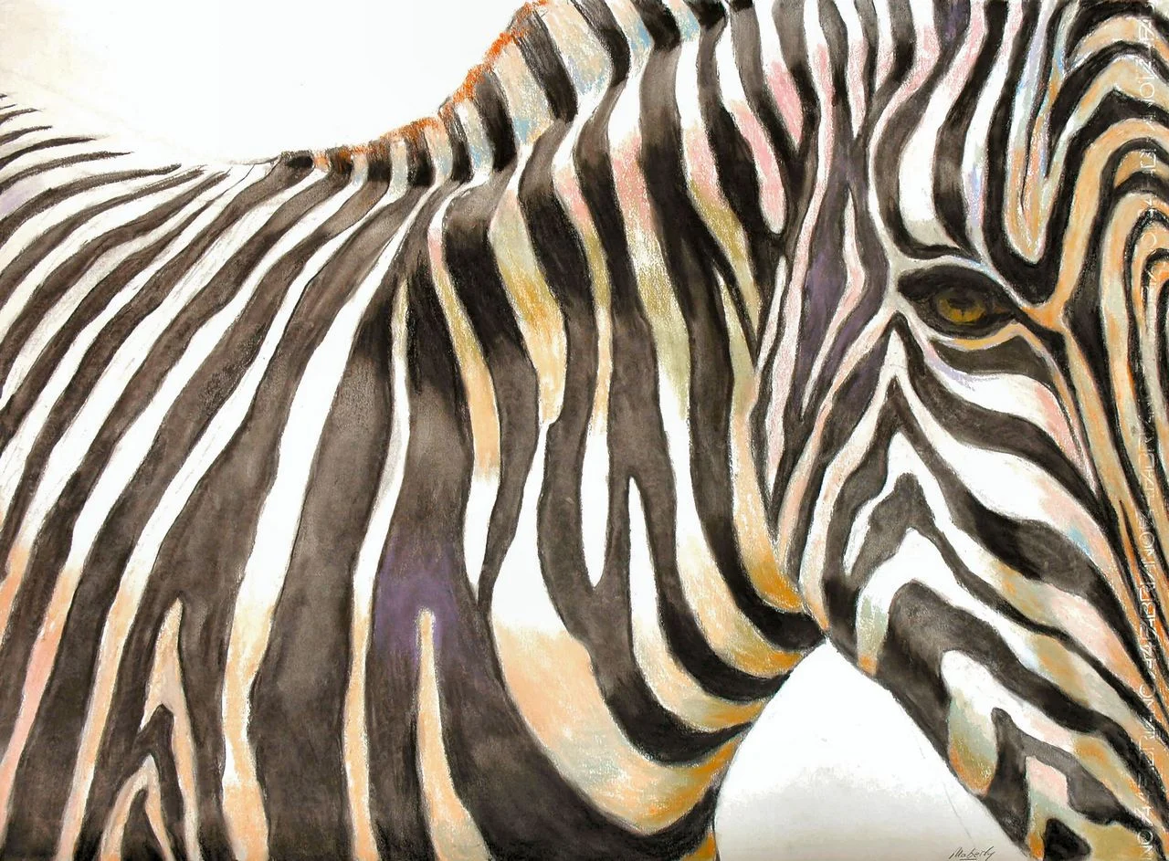 Zebra stripes