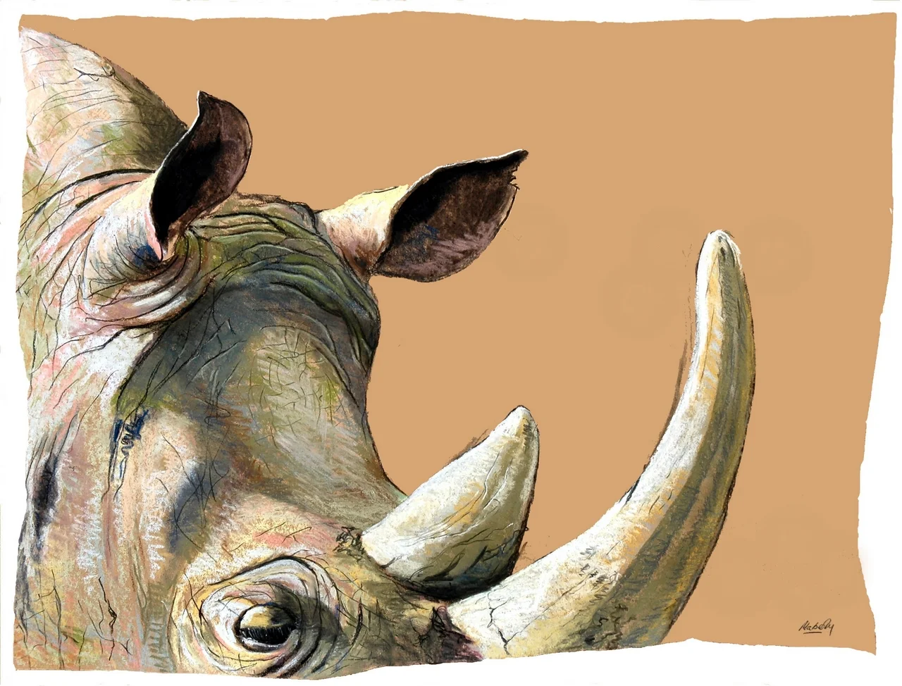 Rhino