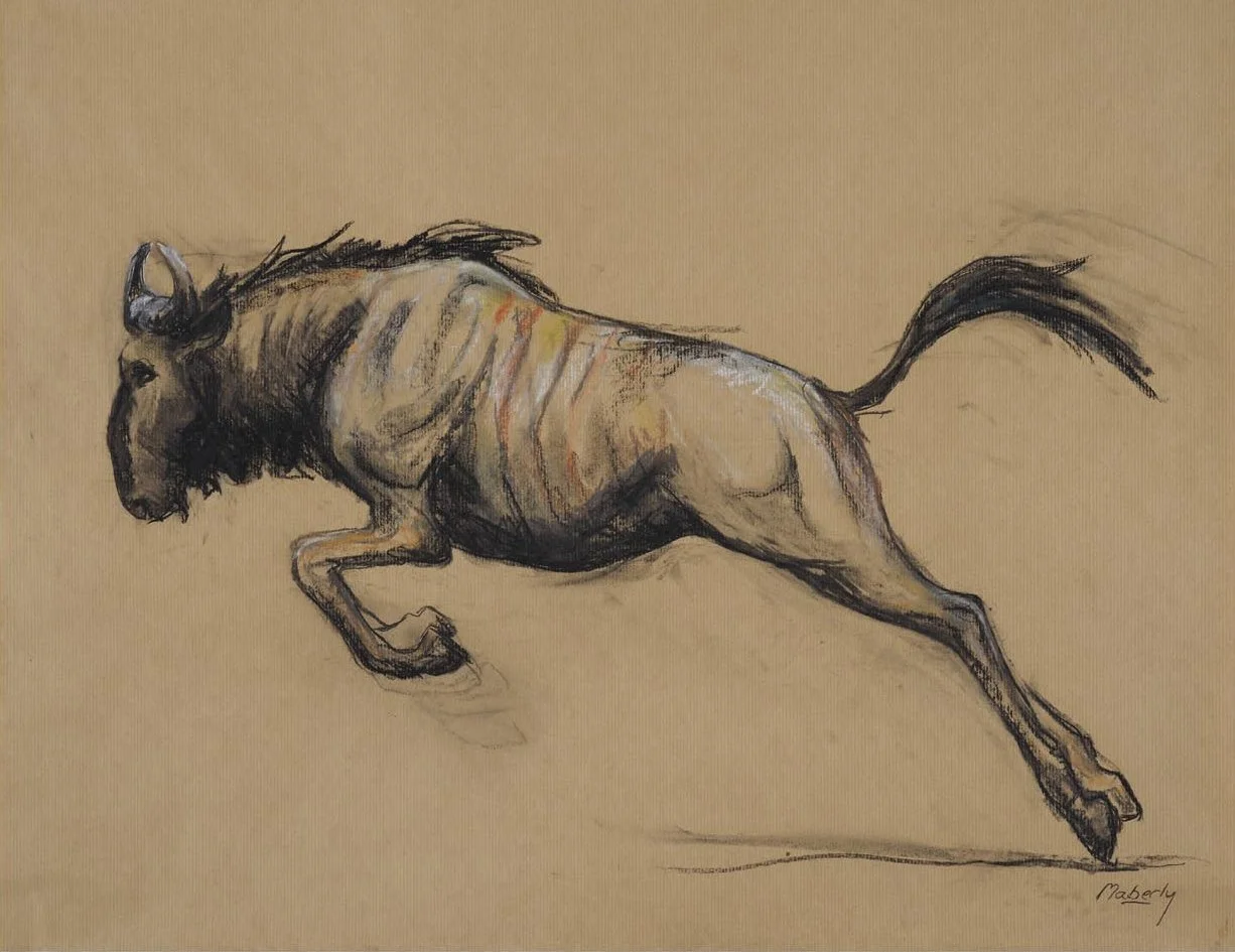 Leaping wildebeest