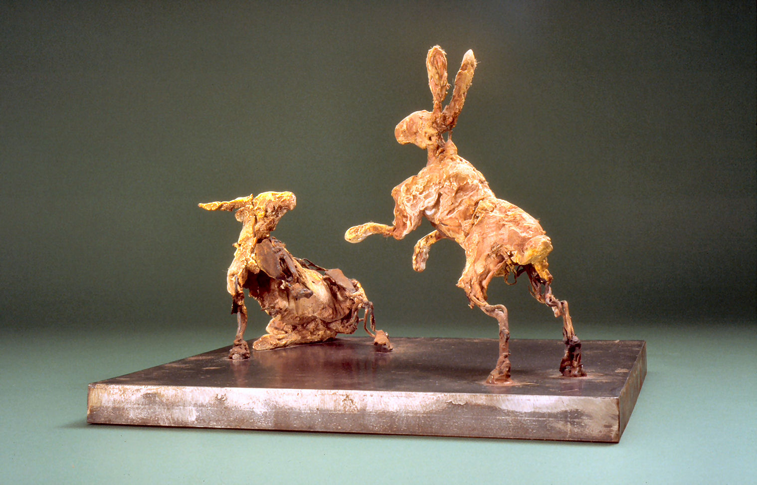Boxing hares