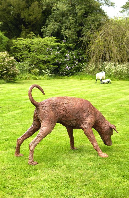 Rhodesian Ridgeback