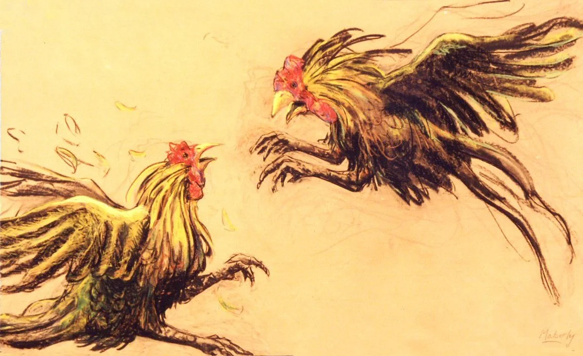 Fighting cockerals