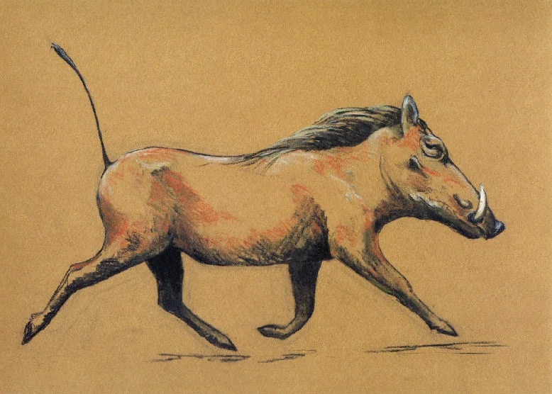 Warthog