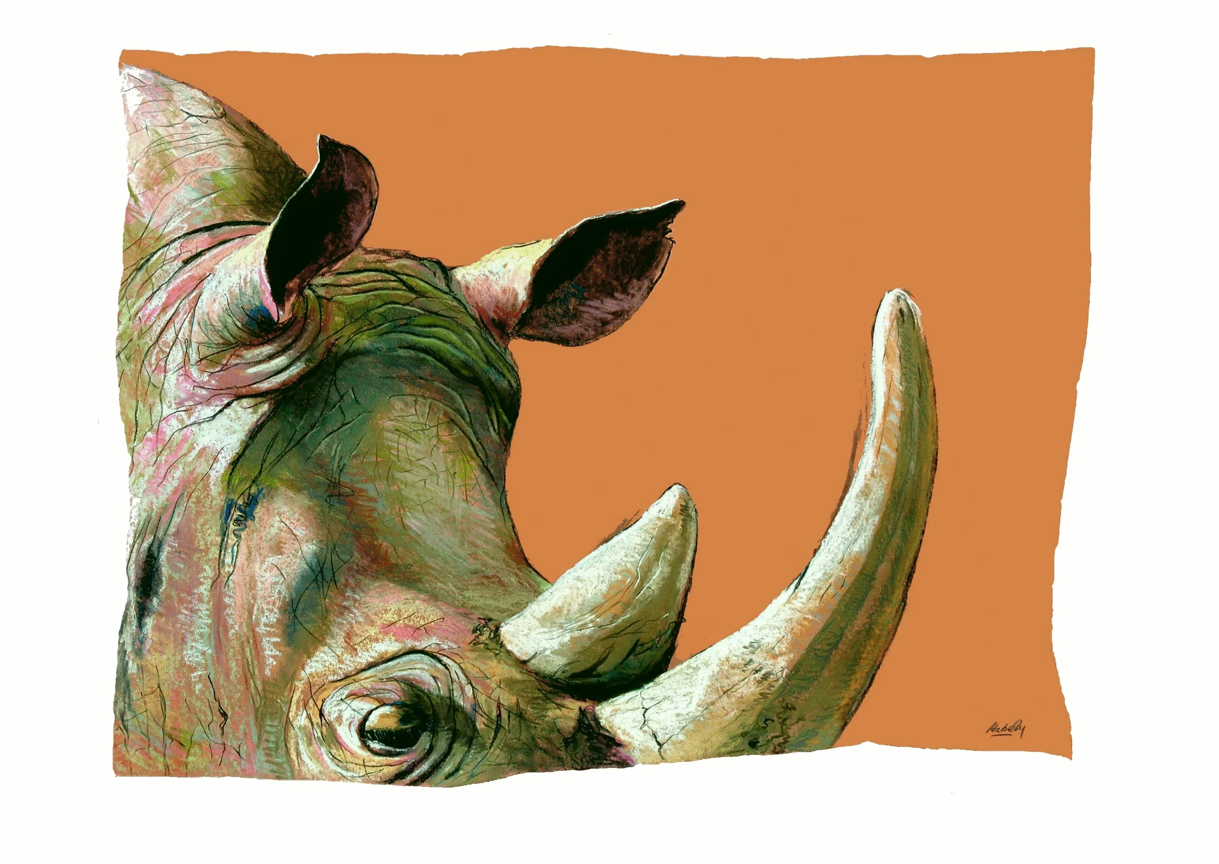 Rhino.refined.b.large.website.6.17.jpg