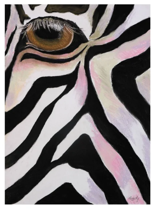 Zebra eye.b.12.16.resize..jpg