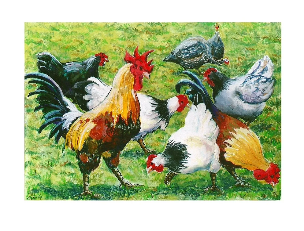 Le Sueurs fowls.7.17..c.mailchimp.jpg
