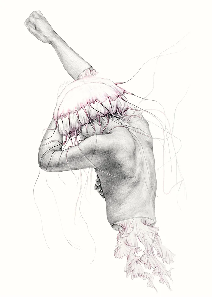 jellyfish1.jpg