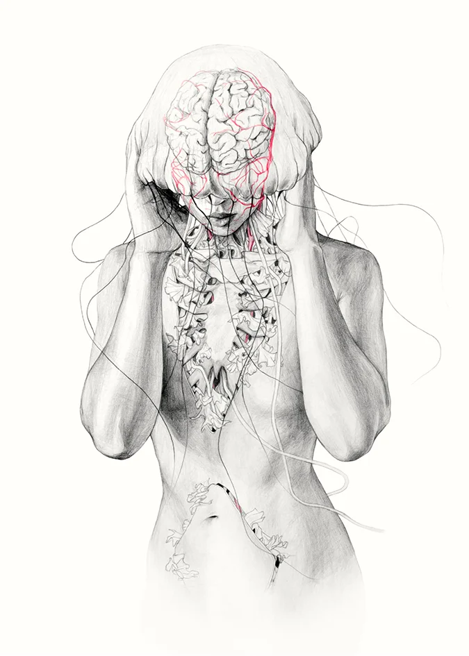 jellyfish2.jpg