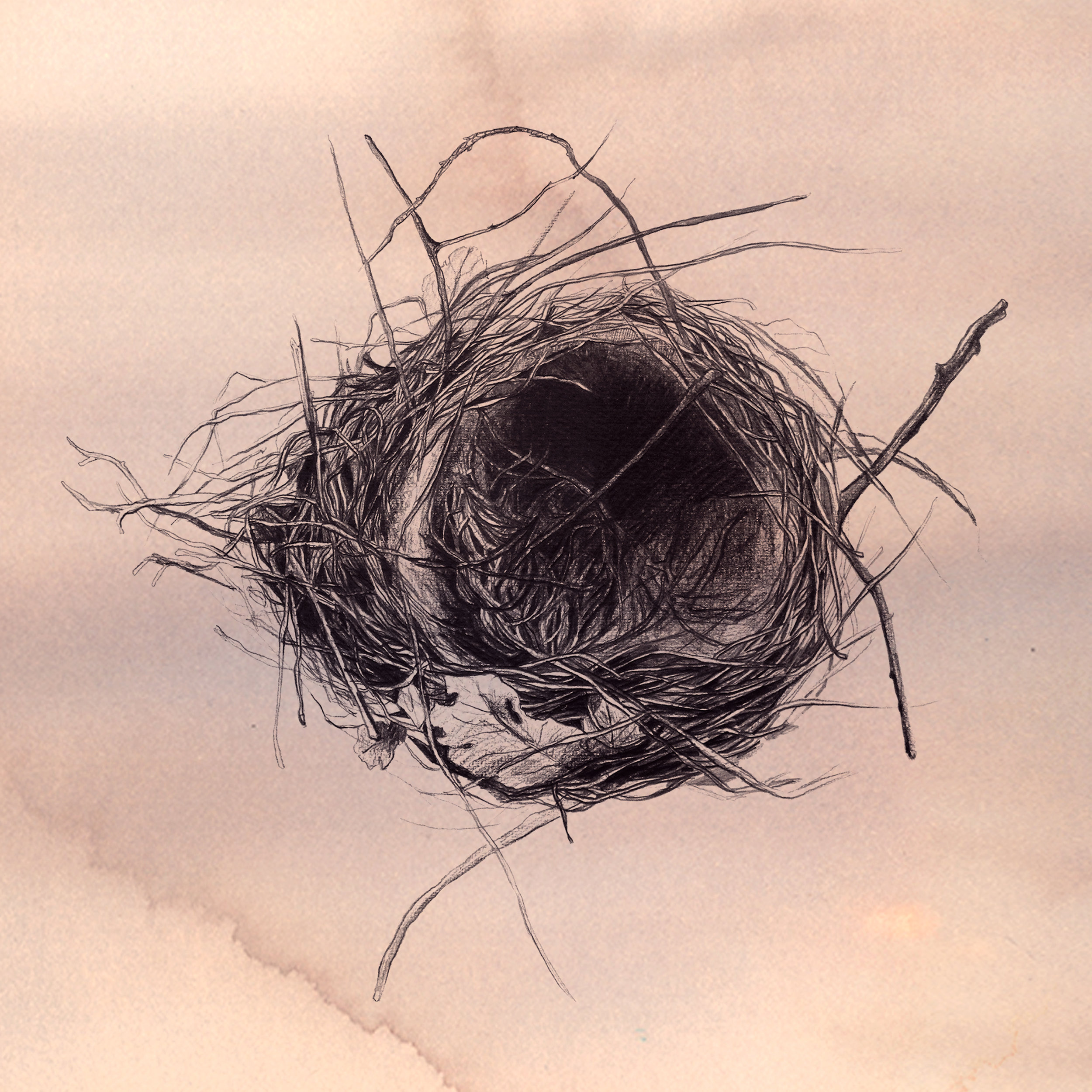 the nest_elisaancori1.jpg