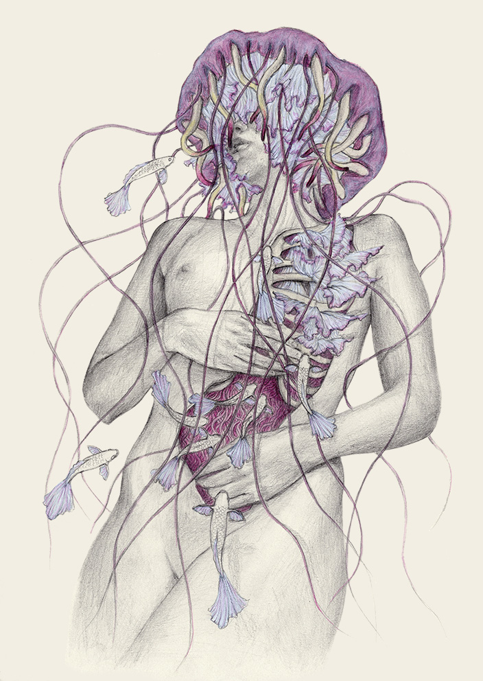 Jellyfish VIII
