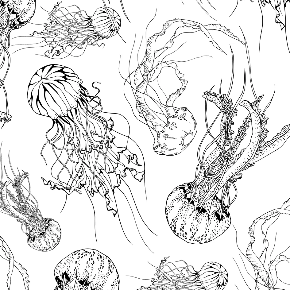s-meduses.jpg