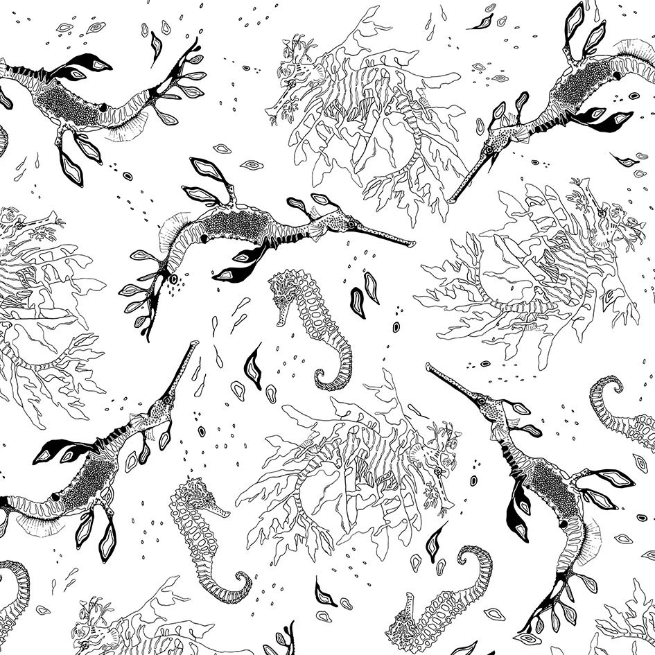 S-seahorse.jpg