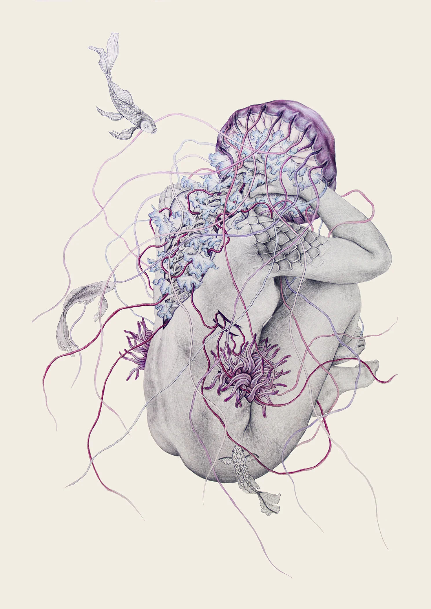 jellyfishVII_elisaancori_DINA3_web.jpg
