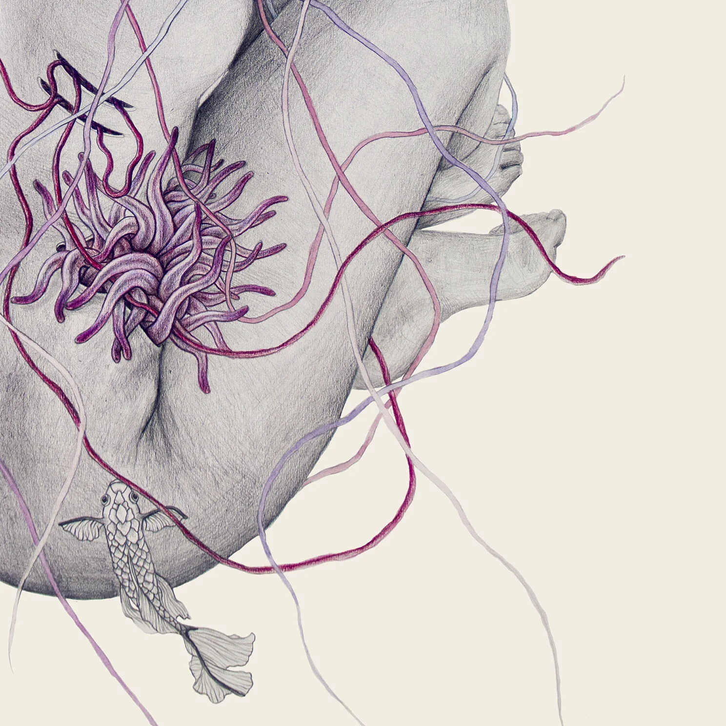 jellyfishVII_elisaancori_DINA3_detalle.jpg