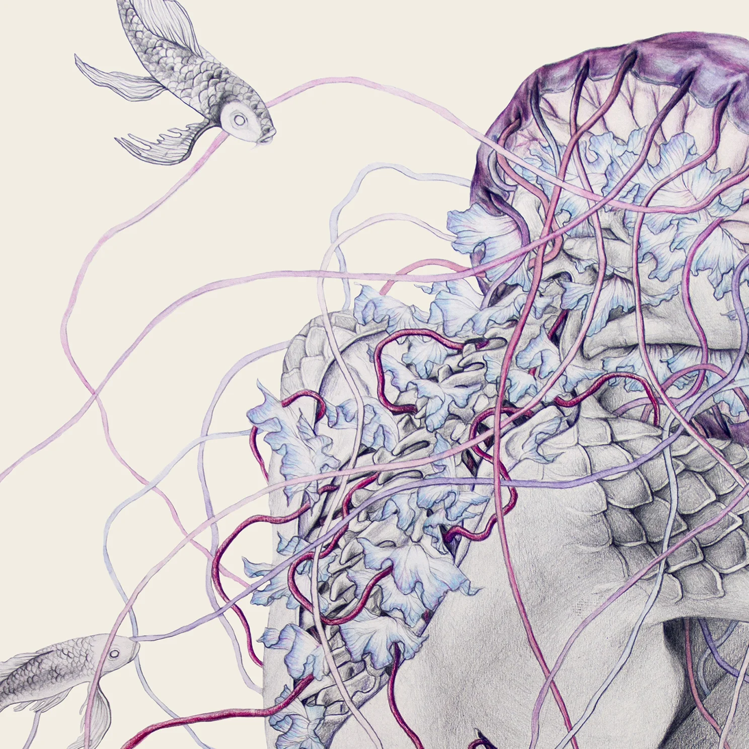 jellyfishVII_elisaancori_DINA3_detalle1.jpg