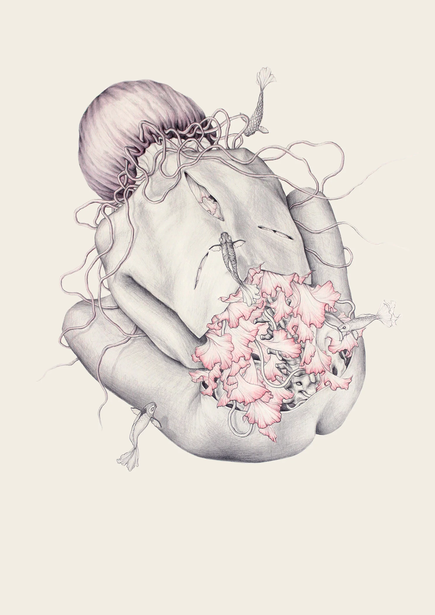 Jellyfish VI
