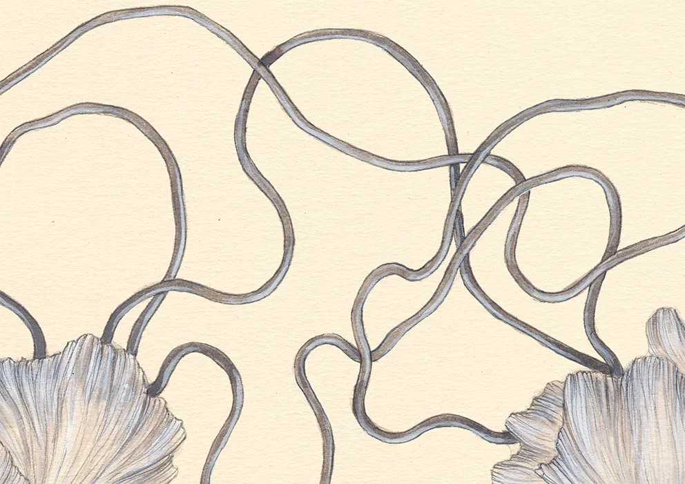 detalle6.jpg