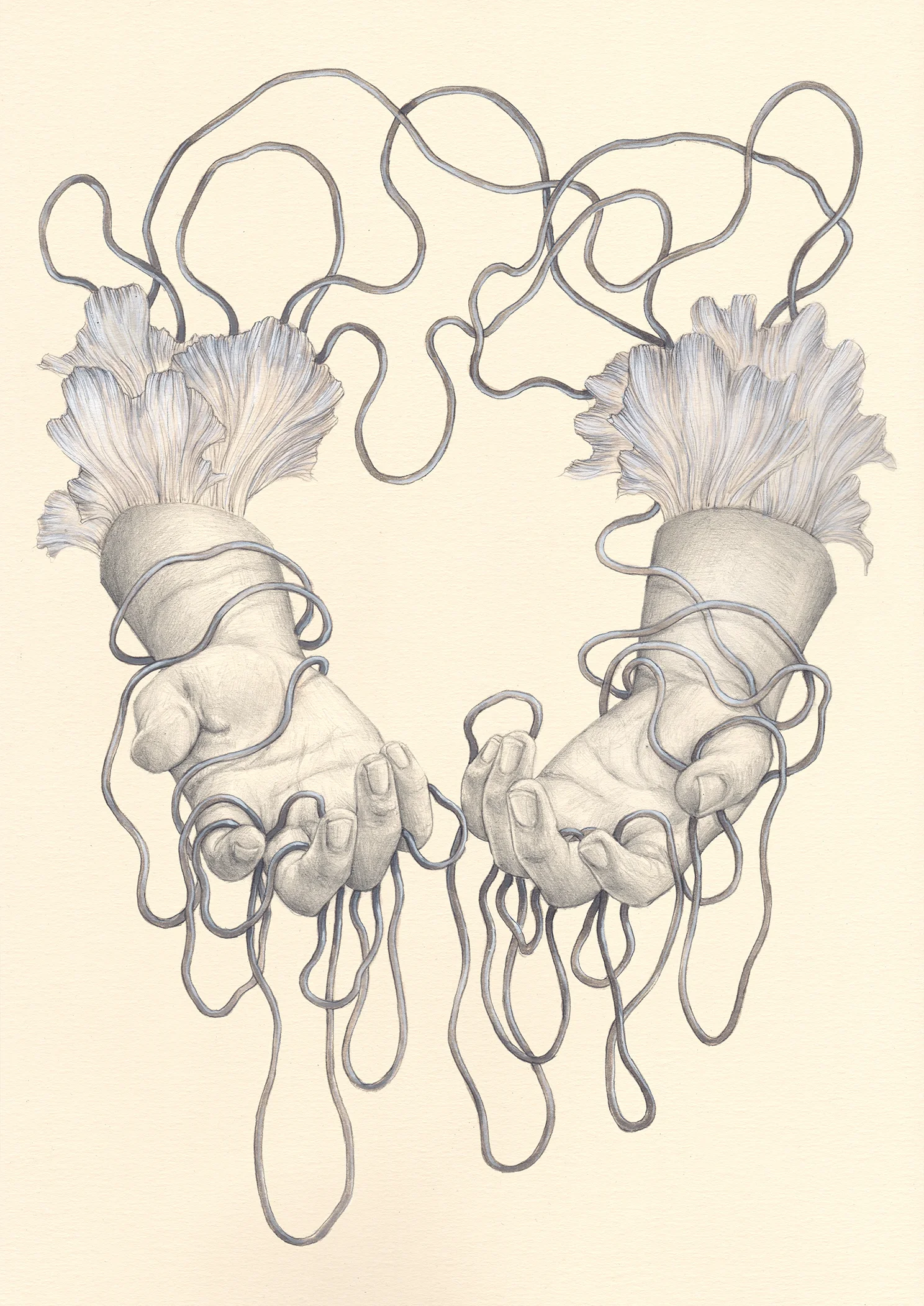 Ancori III
