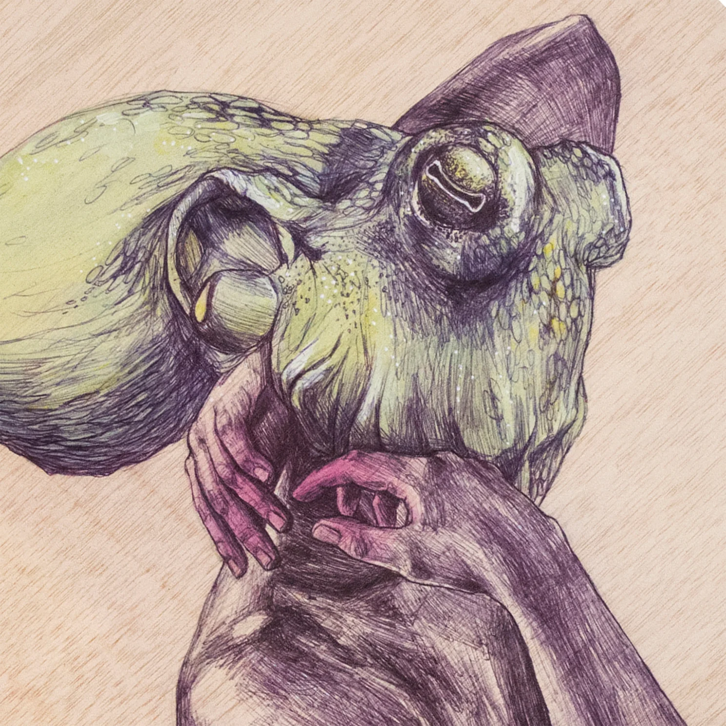 Octopus_30 x 30 cmdetalle.jpg