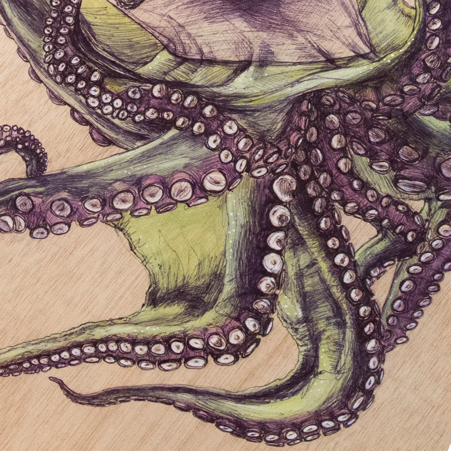 Octopus_30 x 30 cm detalle1.jpg