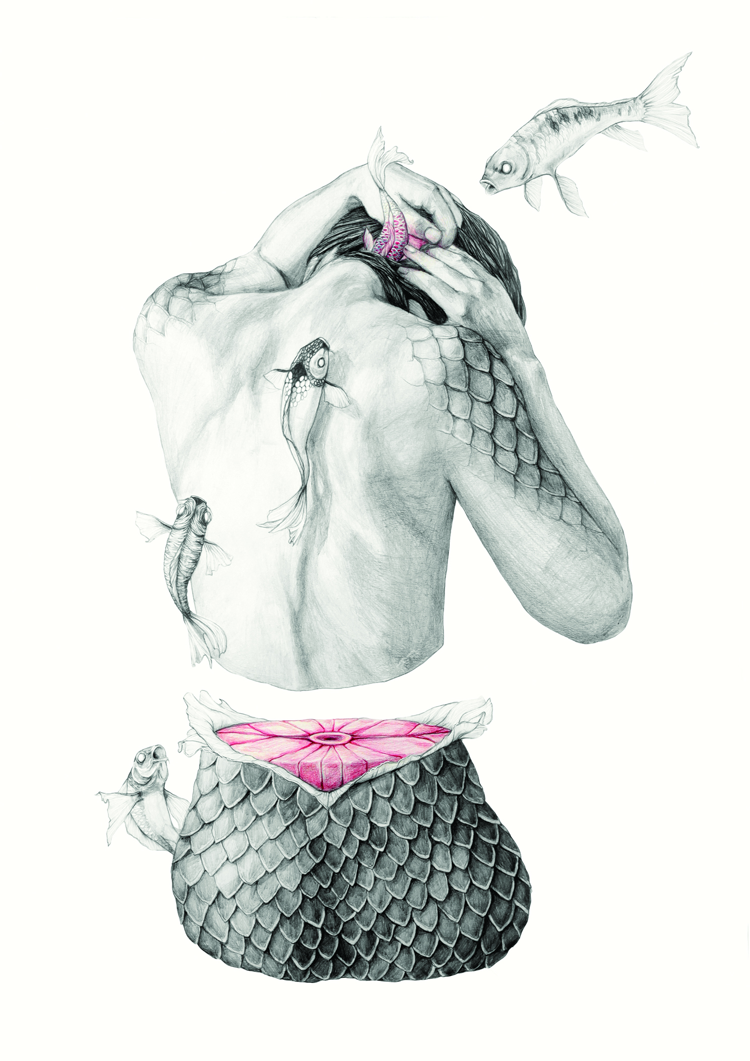 Koi I