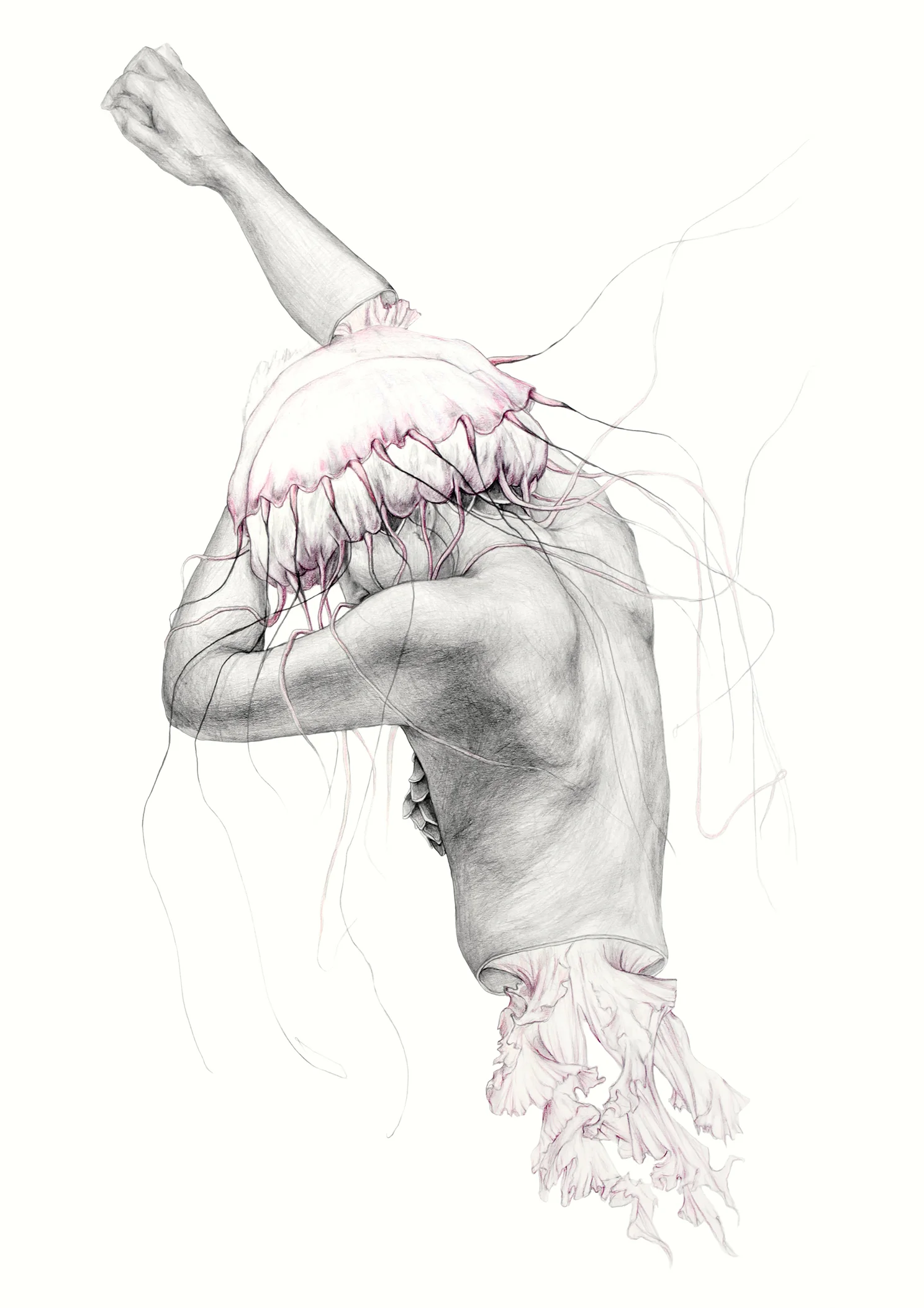Jellyfish I_dina4_web.jpg