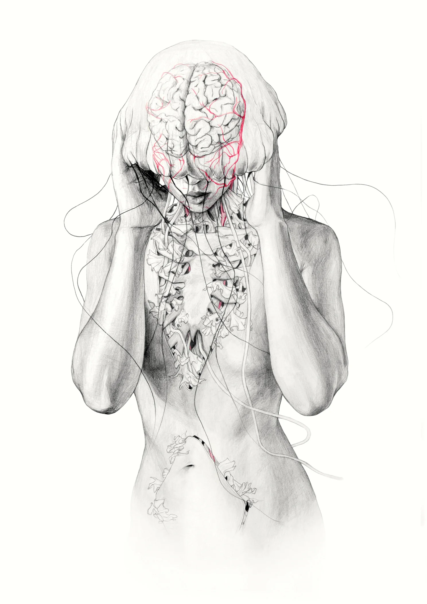 Jellyfish II