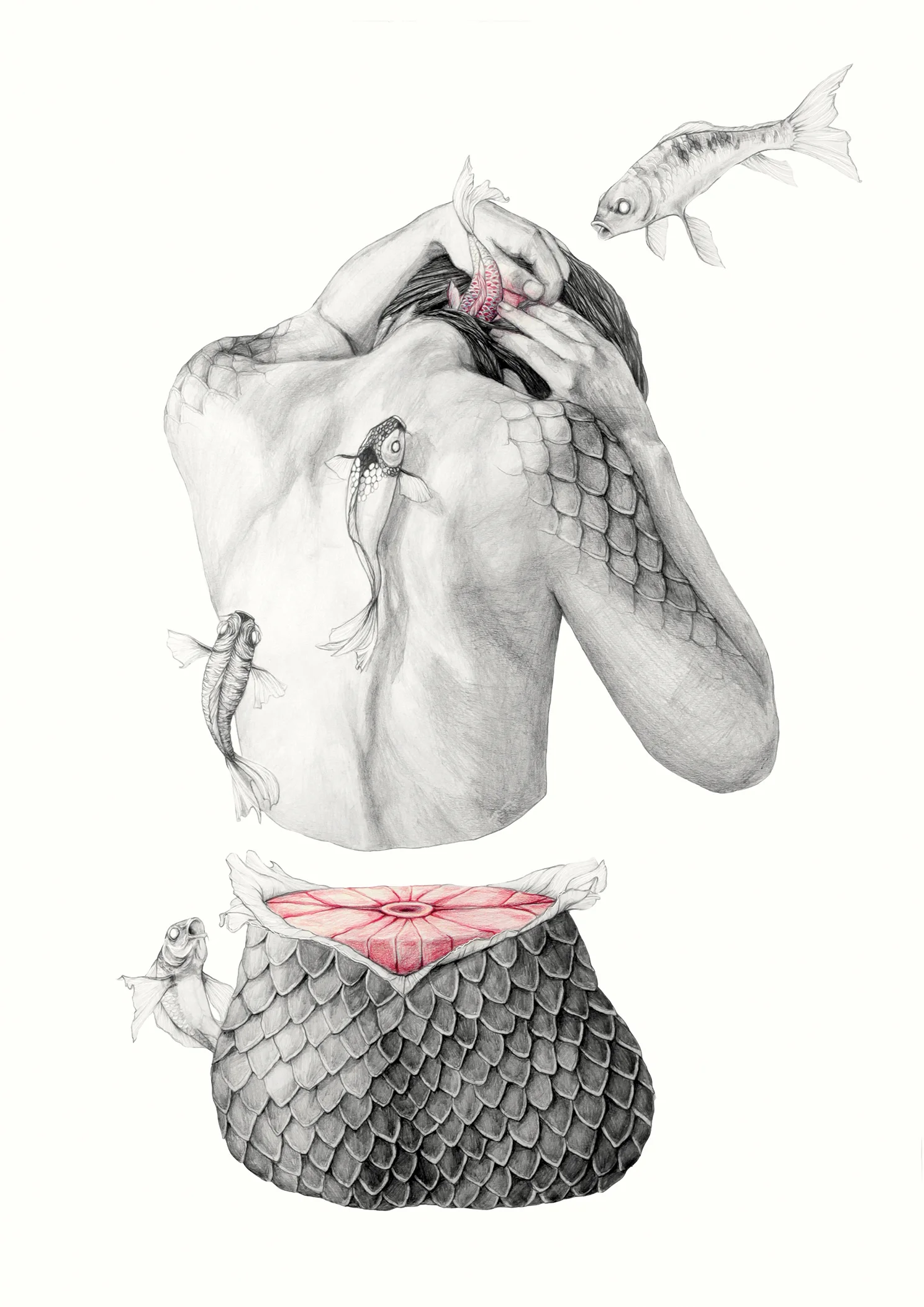 Koi I_dina4_web.jpg