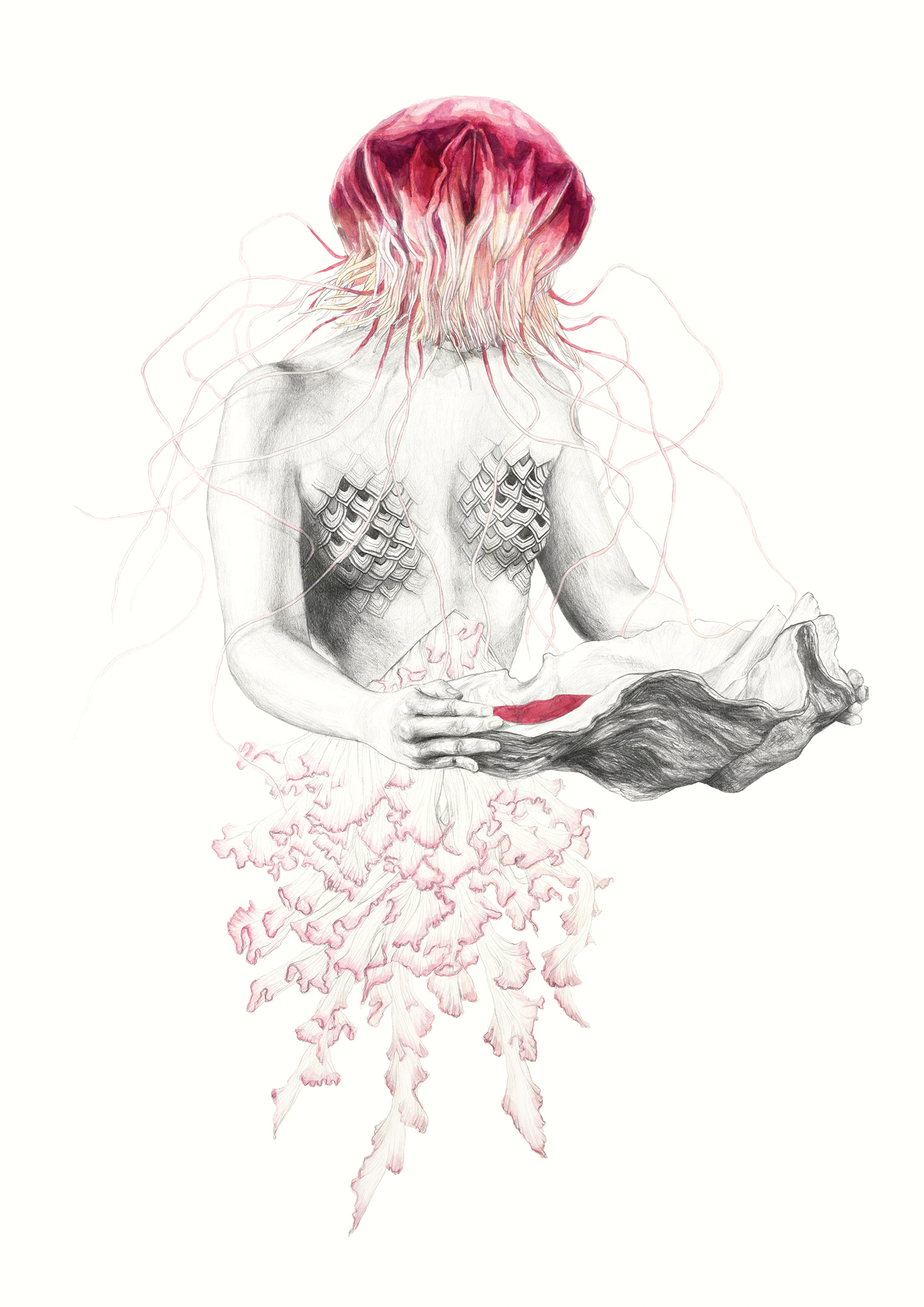 Jellyfish III