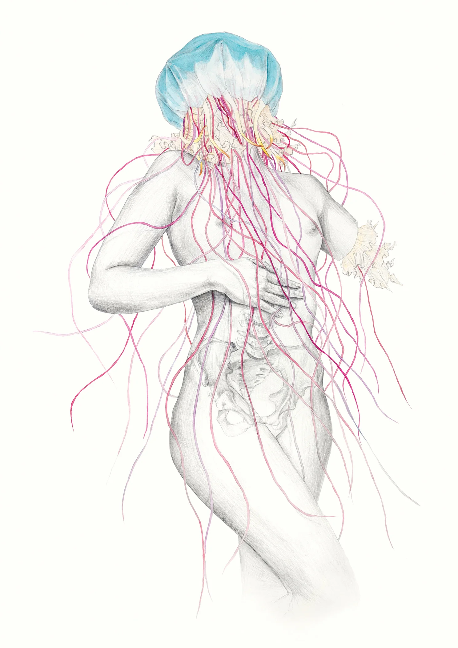 Jellyfish IV_dina4_web.jpg