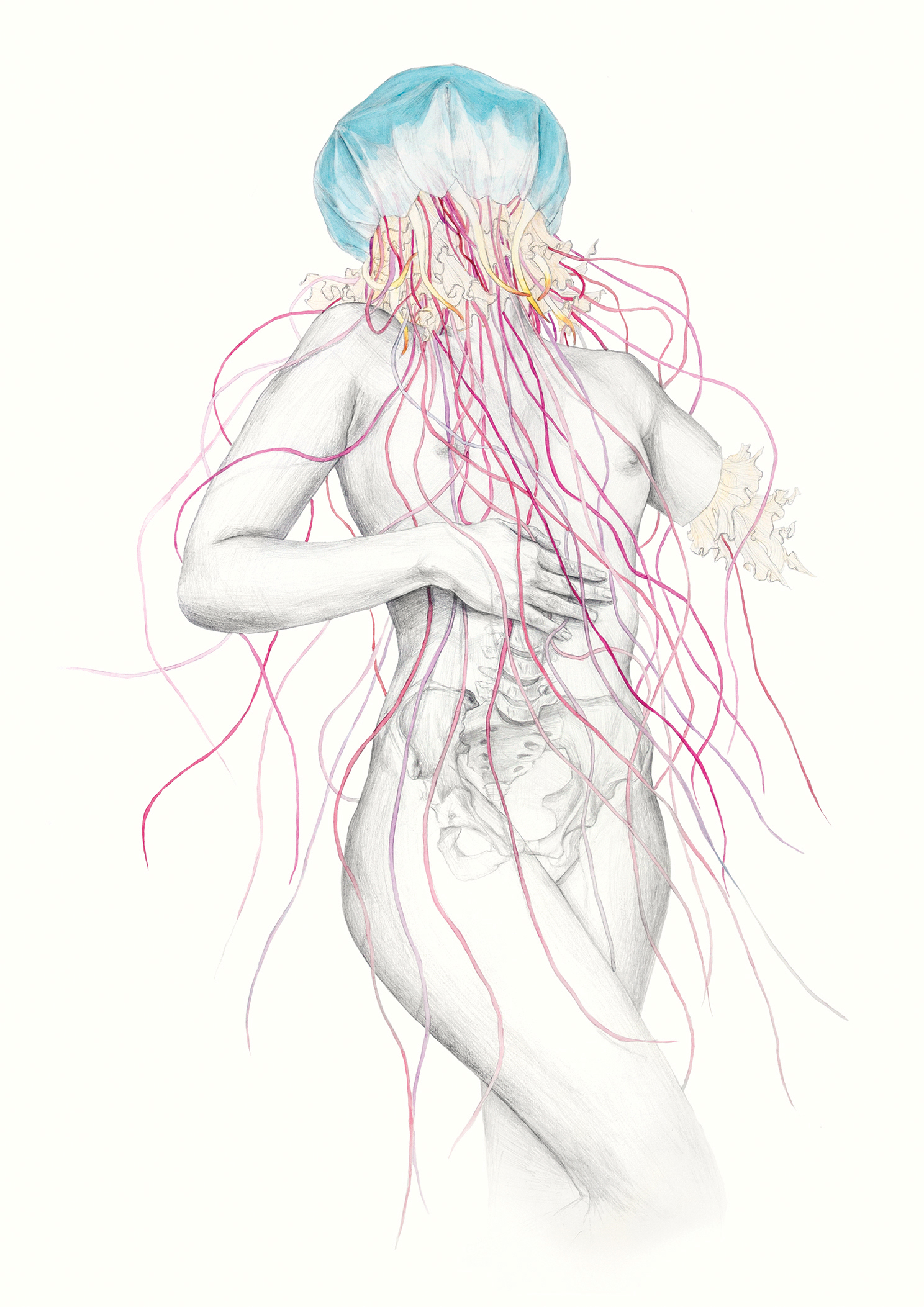 Jellyfish IV