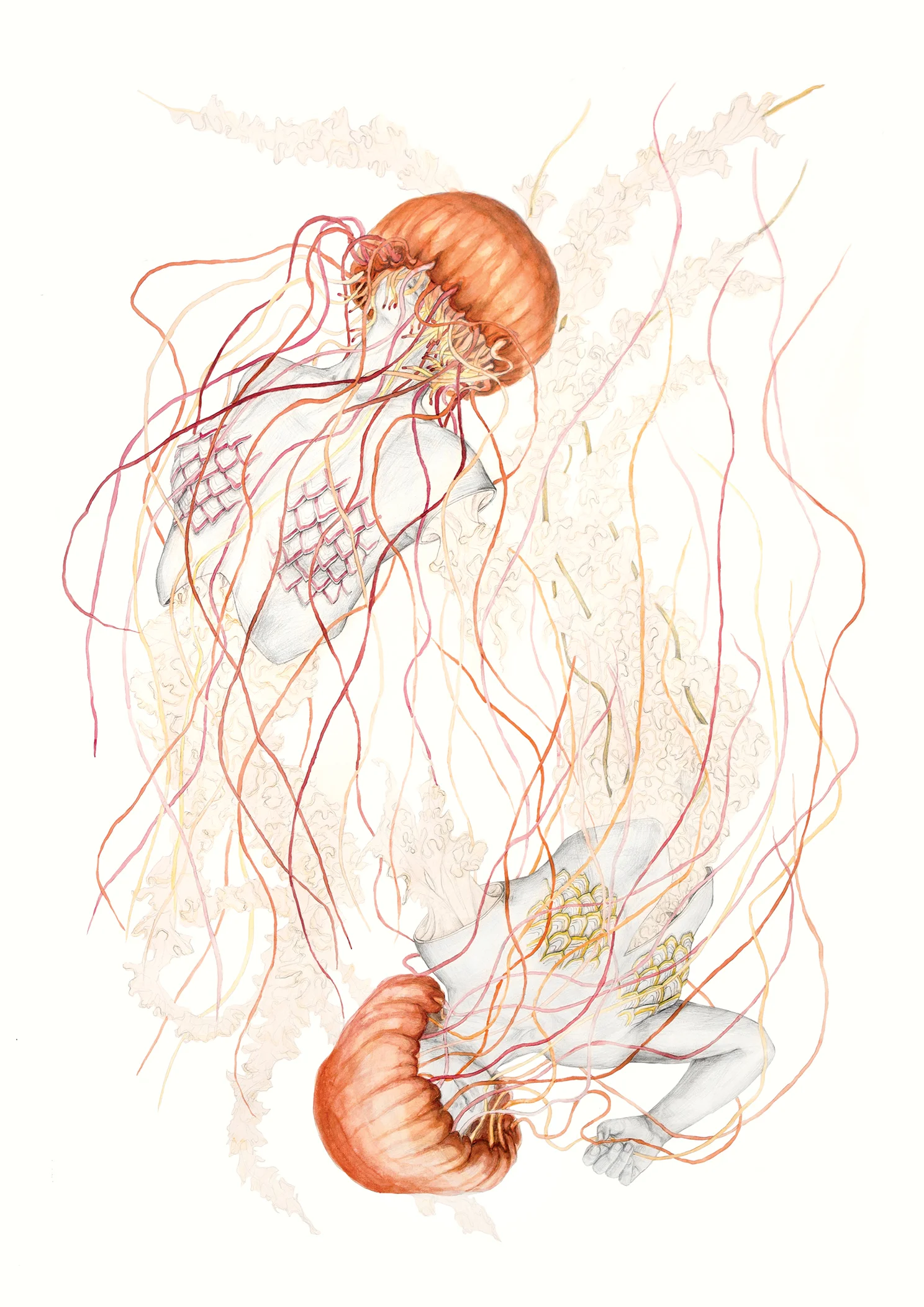 Jellyfish V_dina4_web.jpg