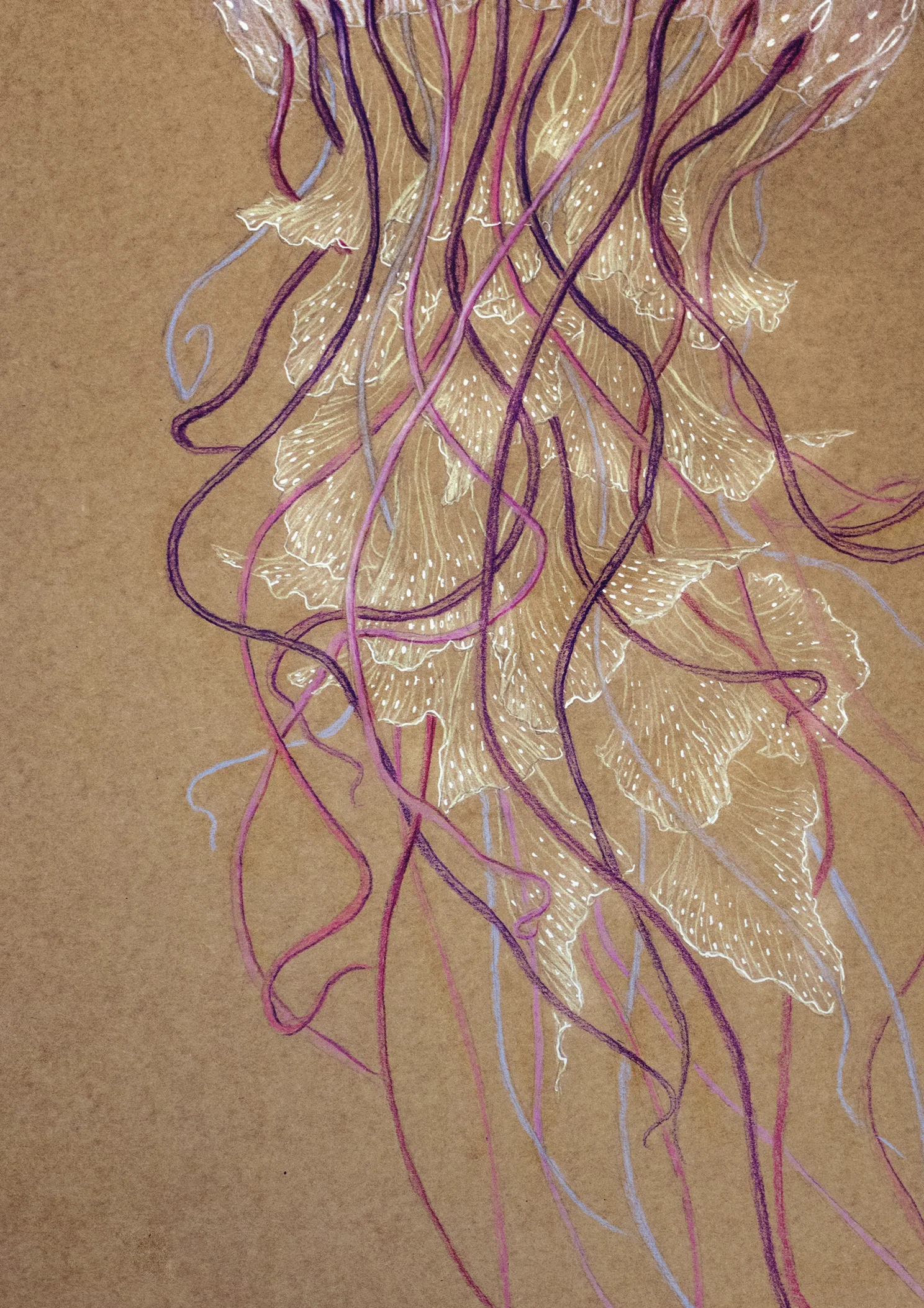 medusa_elisaancori_web_detalle.jpg