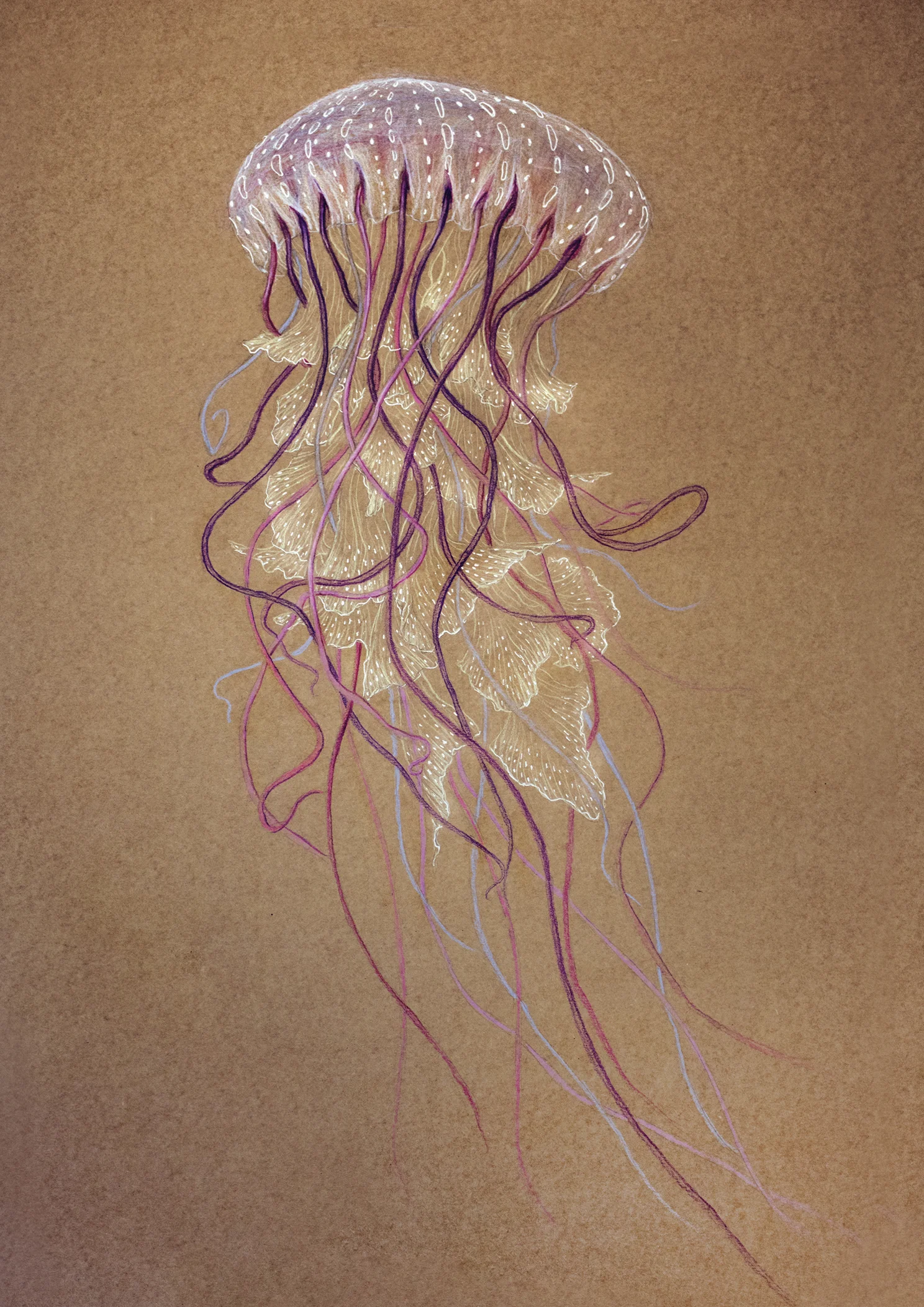 medusa_elisaancori_web.jpg