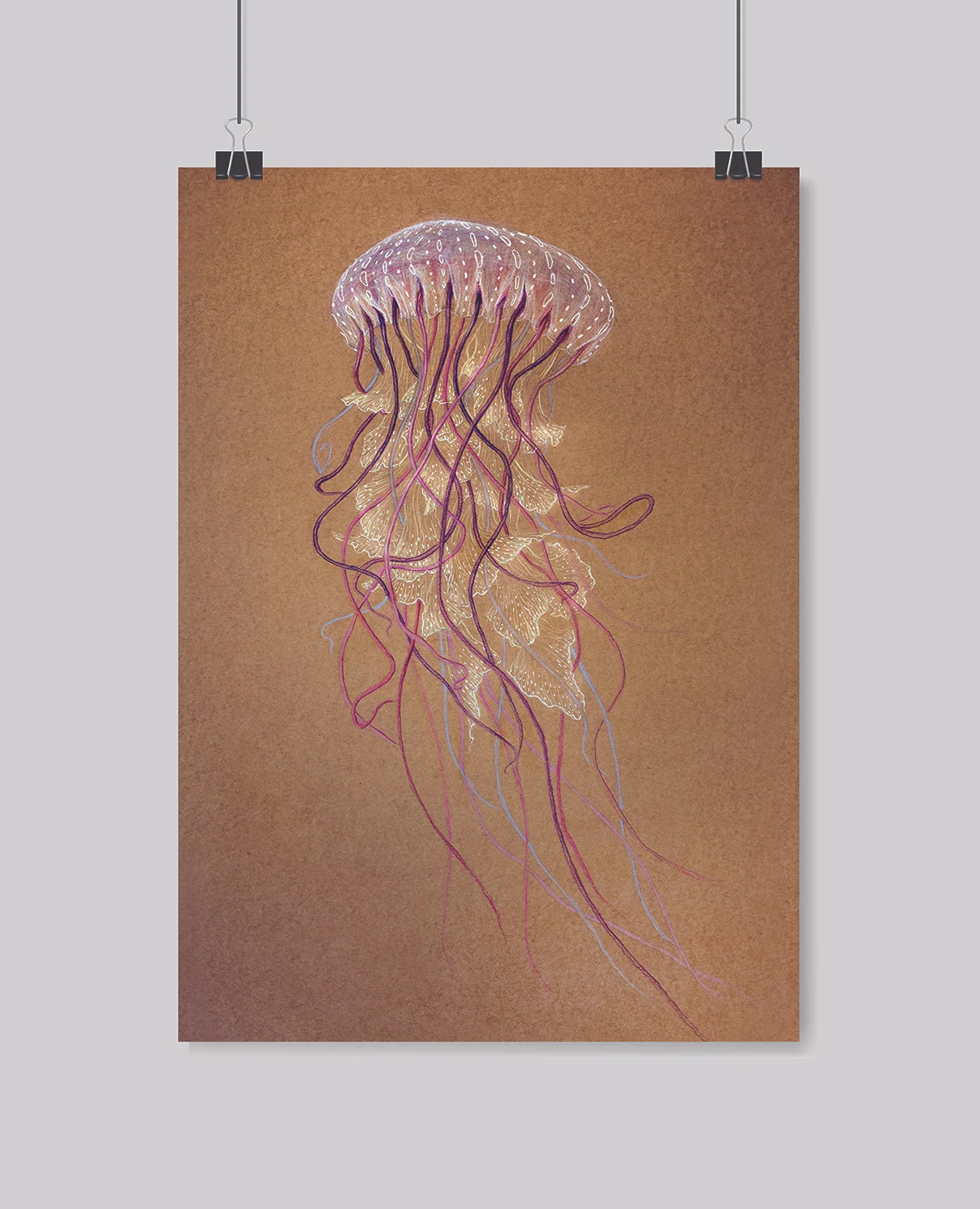 medusa_frame_web.jpg