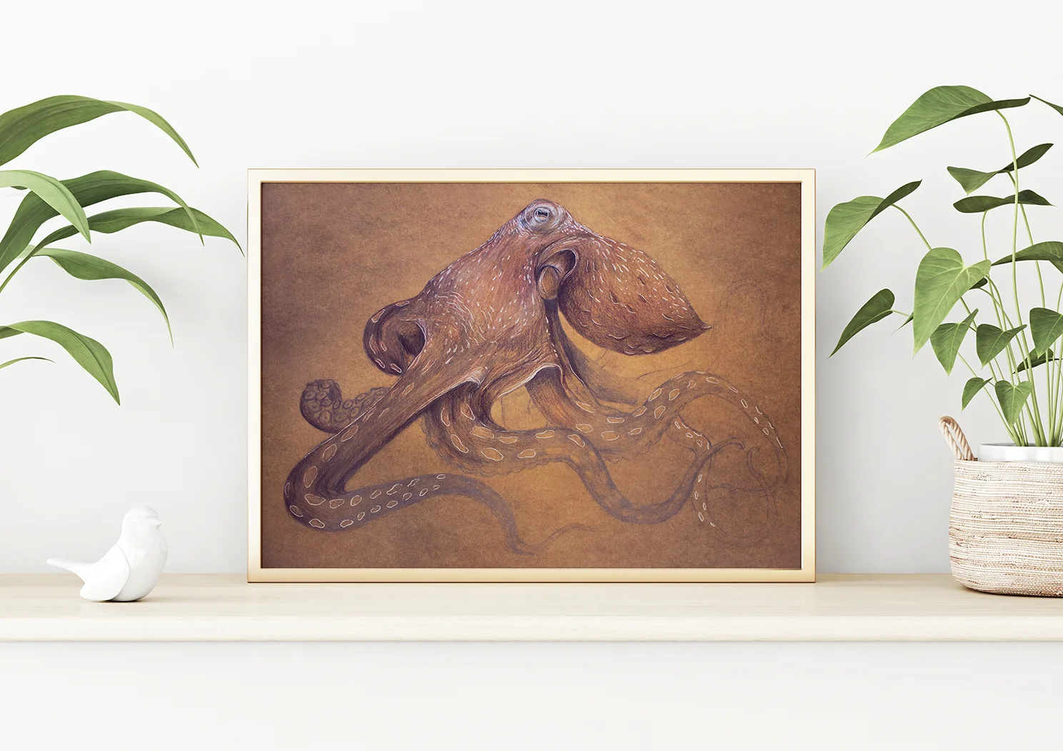pulpo_frame_web2.jpg