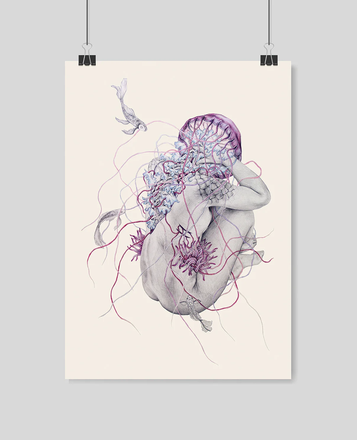 jellyfishVIII_frame_web.jpg
