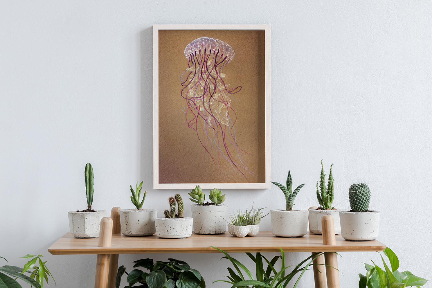 medusa_frame_web còpia.jpg