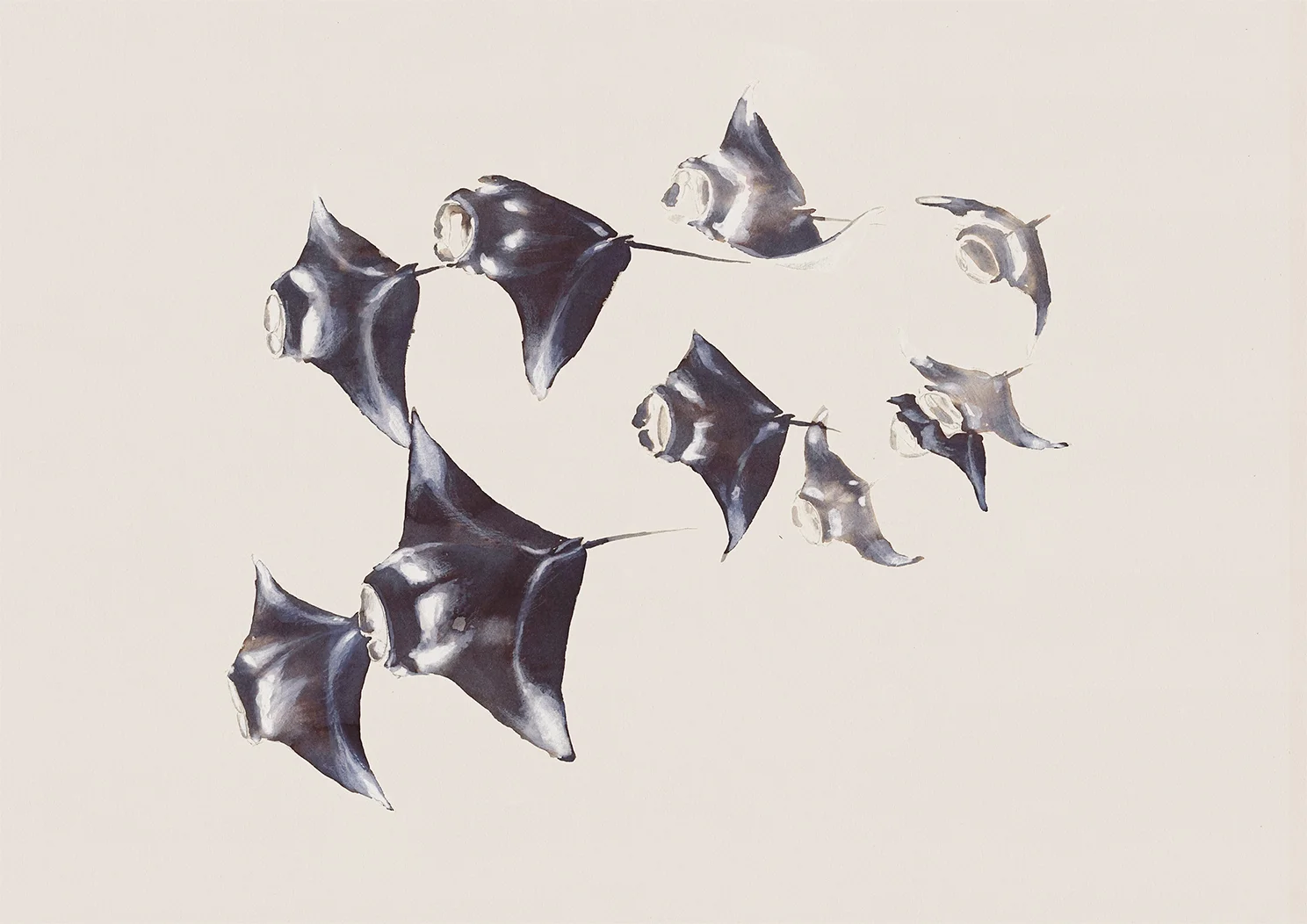 mantarrayas_print_web.jpg